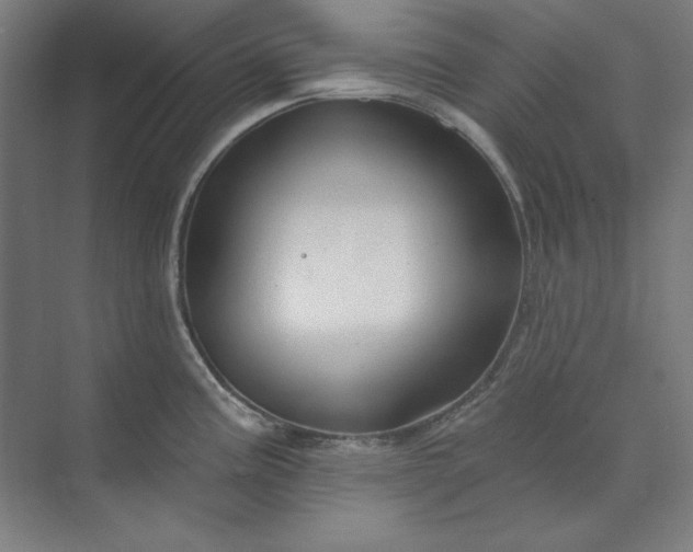 X0000073991195200609060949