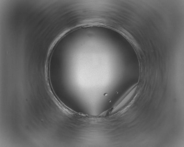 X0000073991196200609060949