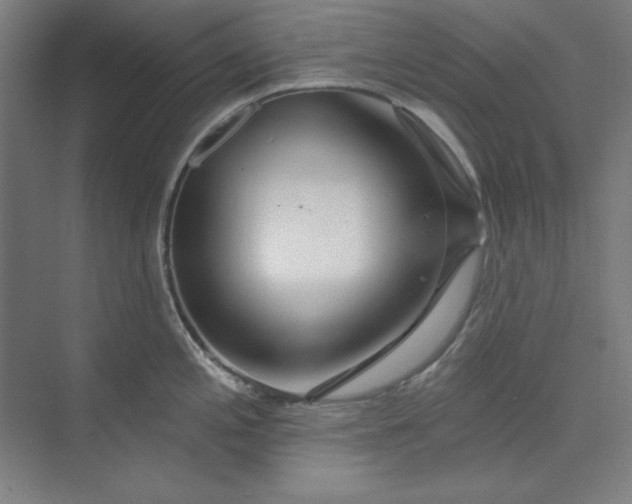 X0000073991197200609060949