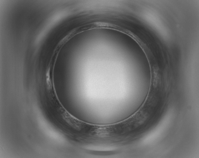 X0000073991198200609060949