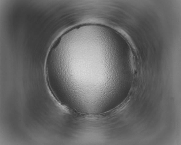 X0000073991199200609060949