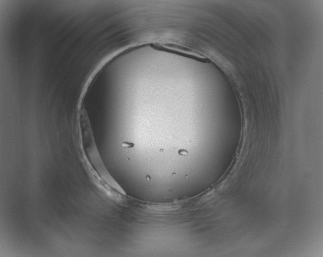 X0000073991200200609060949