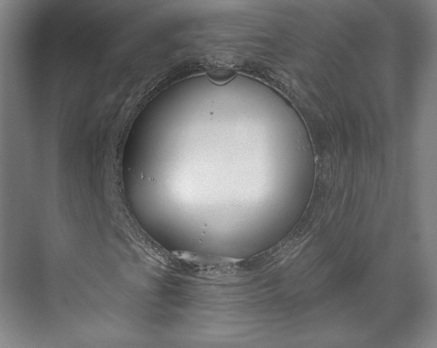 X0000073991201200609060949