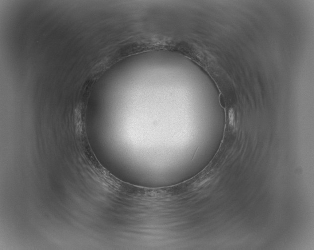 X0000073991203200609060949