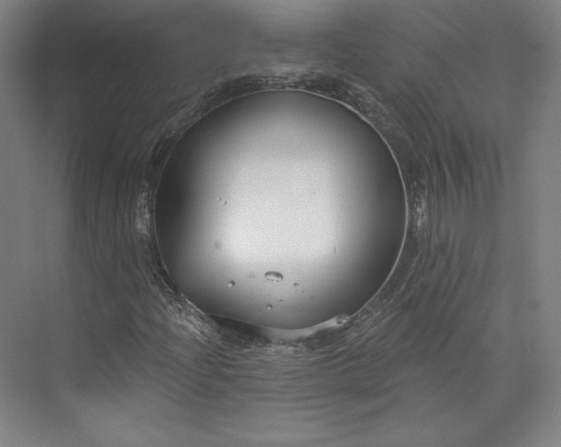 X0000073991204200609060949