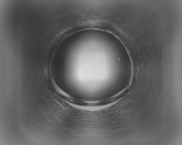 X0000073991206200609060949