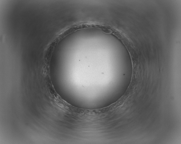 X0000073991207200609060949