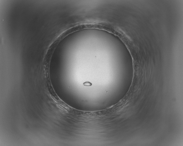 X0000073991208200609060949