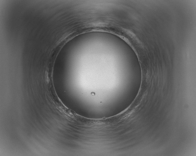 X0000073991209200609060949