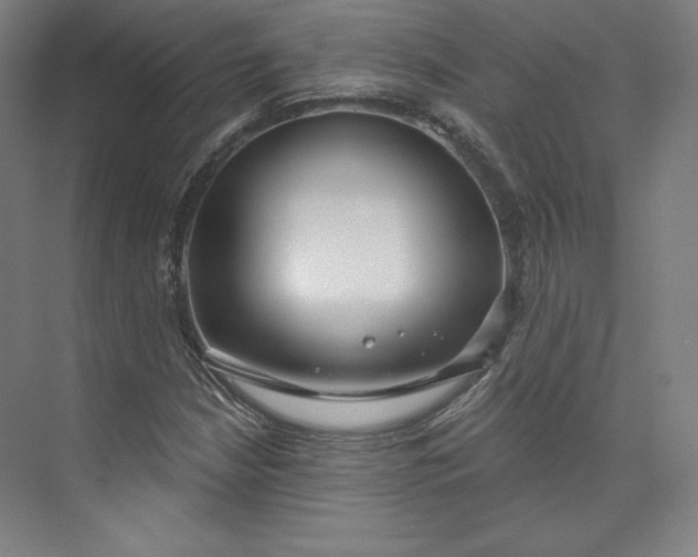 X0000073991210200609060949