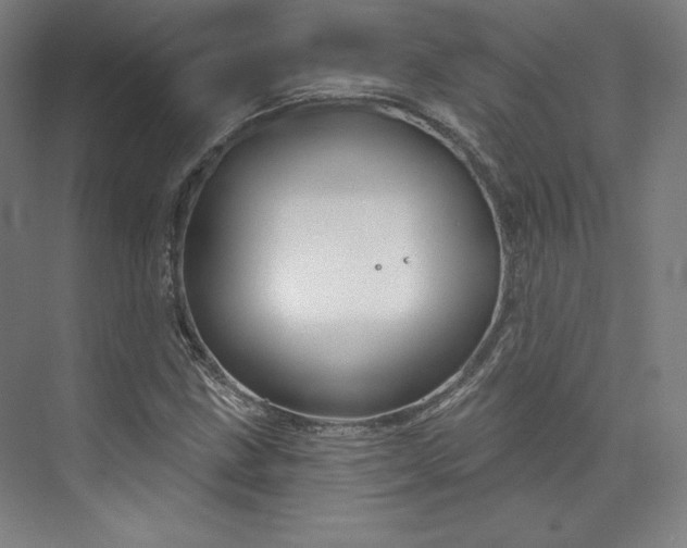 X0000073991211200609060949