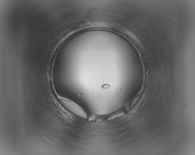 X0000073991212200609060949