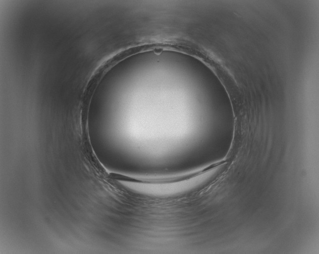 X0000073991214200609060949