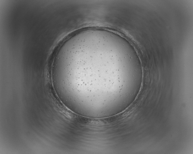 X0000073991215200609060949