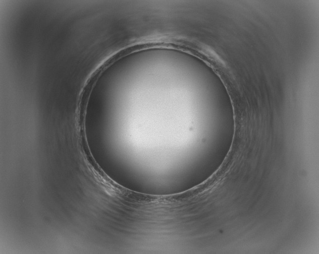 X0000073991216200609060949