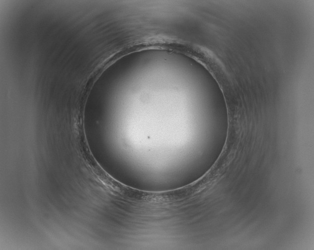 X0000073991217200609060949