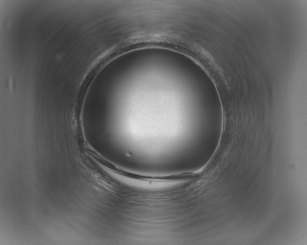 X0000073991218200609060949