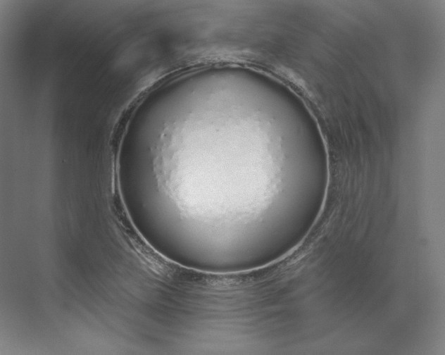 X0000073991219200609060949