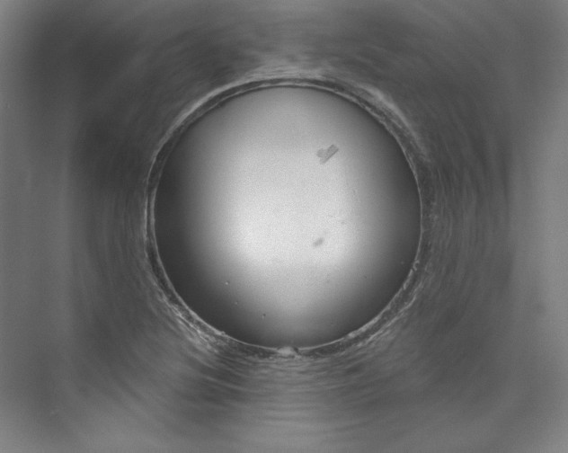 X0000073991220200609060949