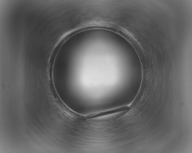 X0000073991222200609060949