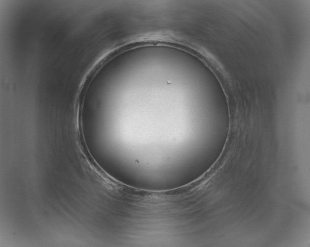 X0000073991224200609060949