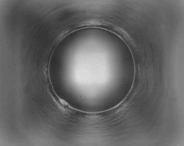 X0000073991225200609060949