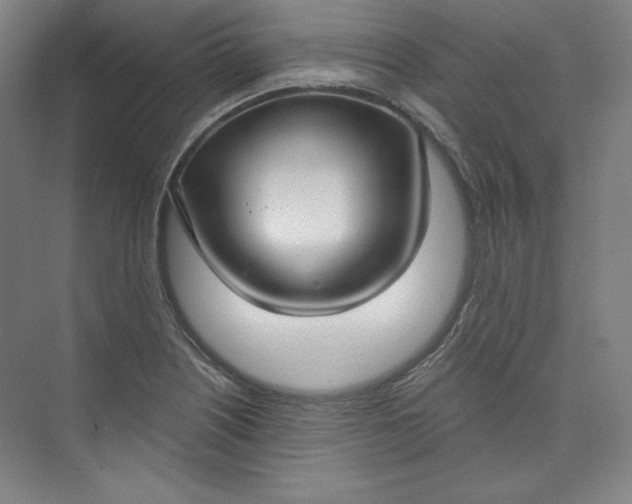 X0000073991226200609060949