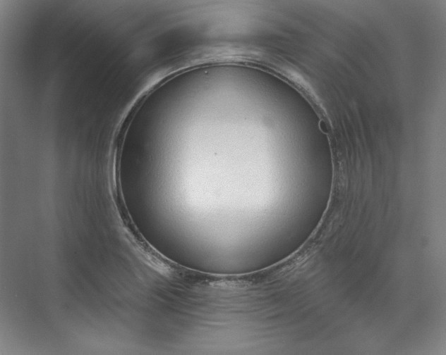 X0000073991227200609060949