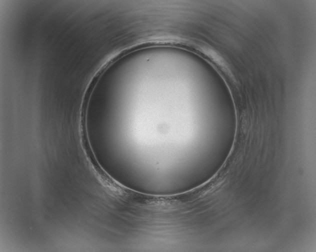 X0000073991229200609060949