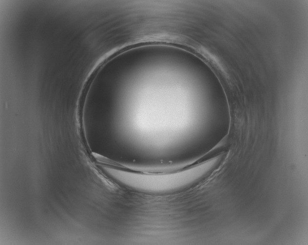 X0000073991230200609060949