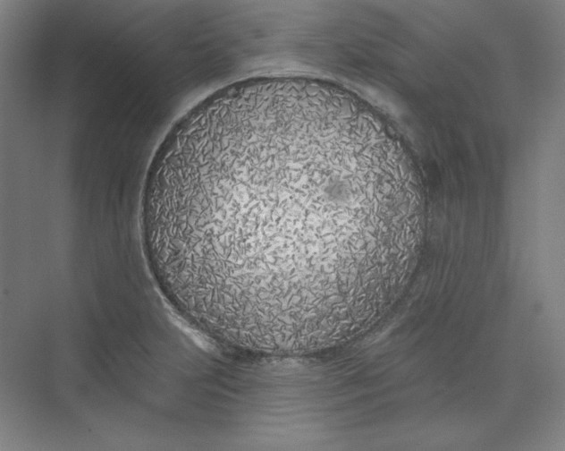 X0000073991231200609060949