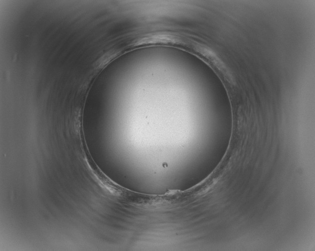 X0000073991233200609060949