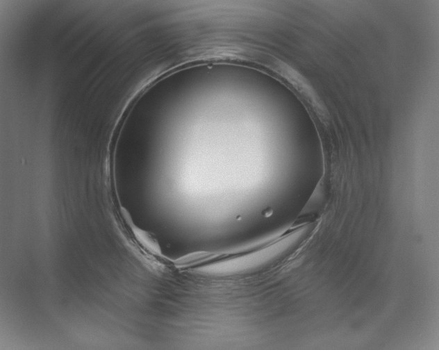 X0000073991234200609060949