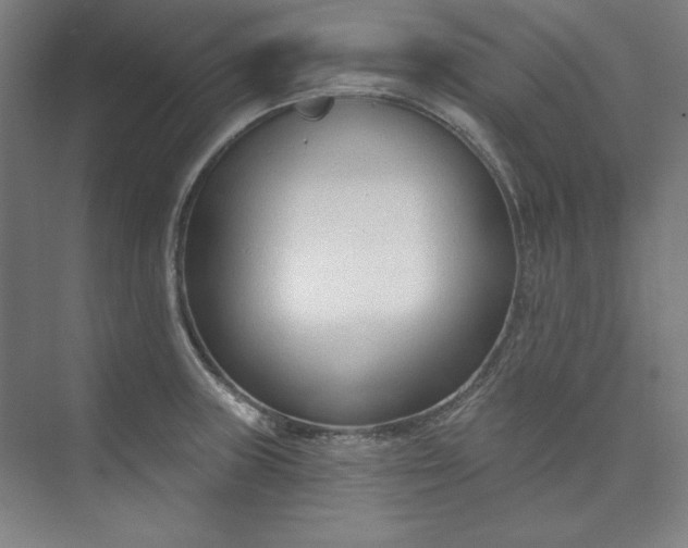 X0000073991235200609060949