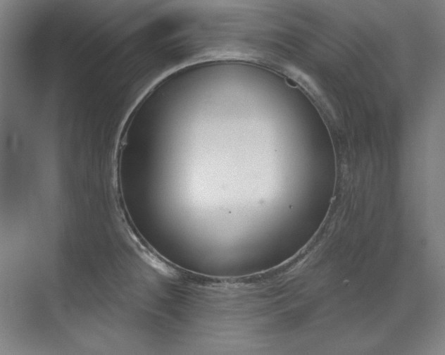 X0000073991236200609060949