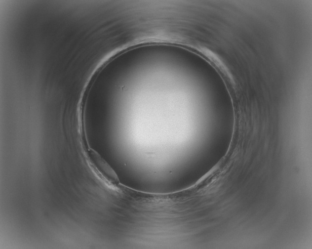 X0000073991238200609060949