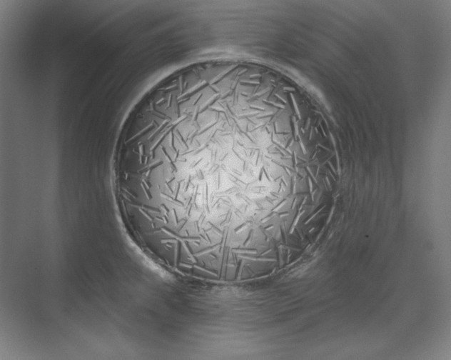 X0000073991239200609060949