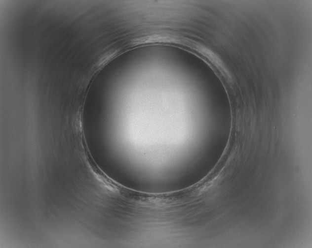 X0000073991241200609060949