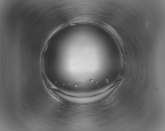 X0000073991242200609060949