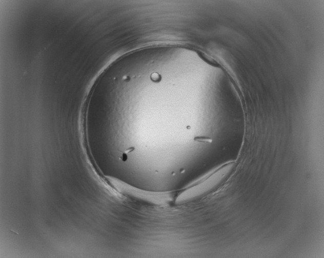 X0000073991243200609060949