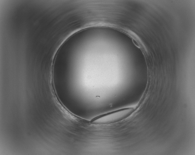 X0000073991244200609060949