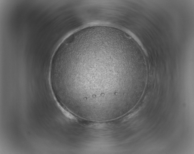 X0000073991245200609060949