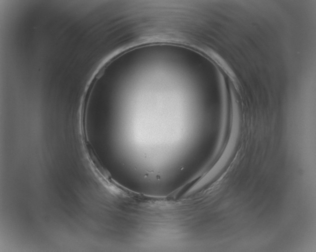 X0000073991246200609060949