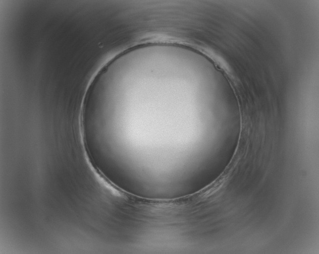 X0000073991247200609060949