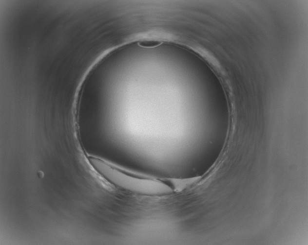 X0000073991248200609060949