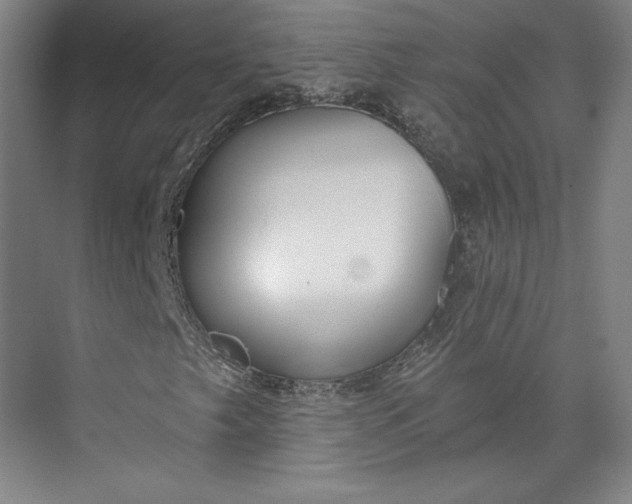 X0000073991249200609060949