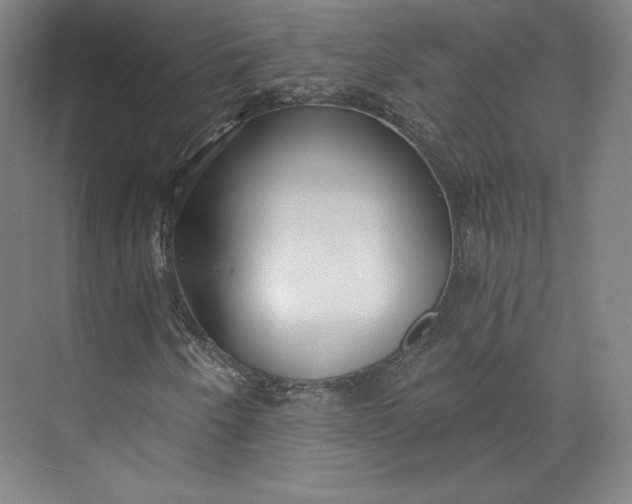 X0000073991250200609060949