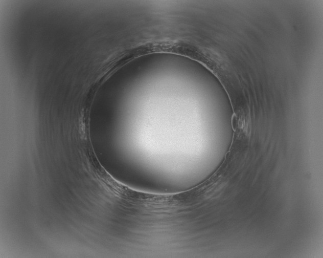 X0000073991252200609060948