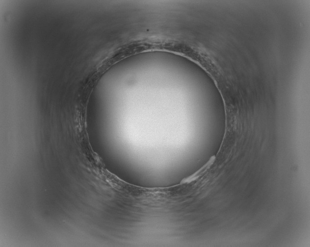 X0000073991253200609060948