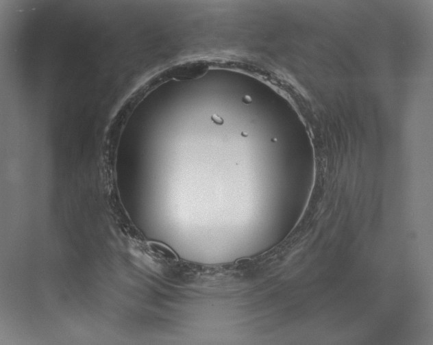 X0000073991256200609060948